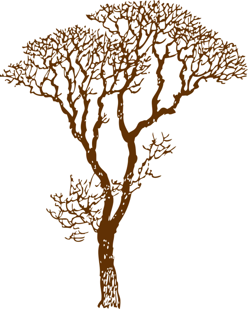 Tree Bare Ecology Stickdatei – Natur