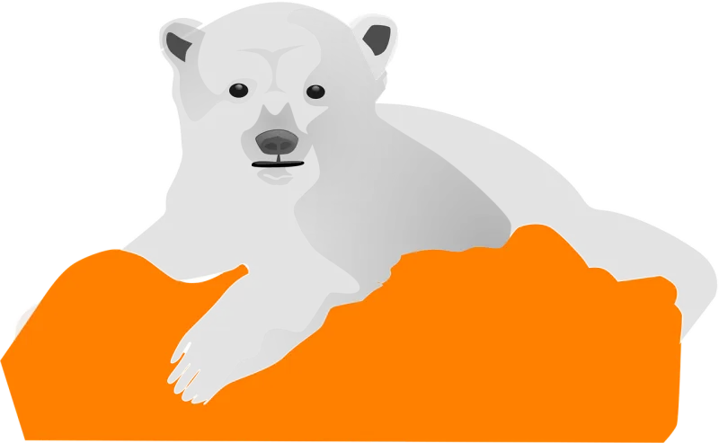 Ice bear Polar Cold Stickdatei – Tiere