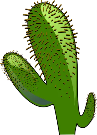 Cactus Landscape Dry Stickdatei