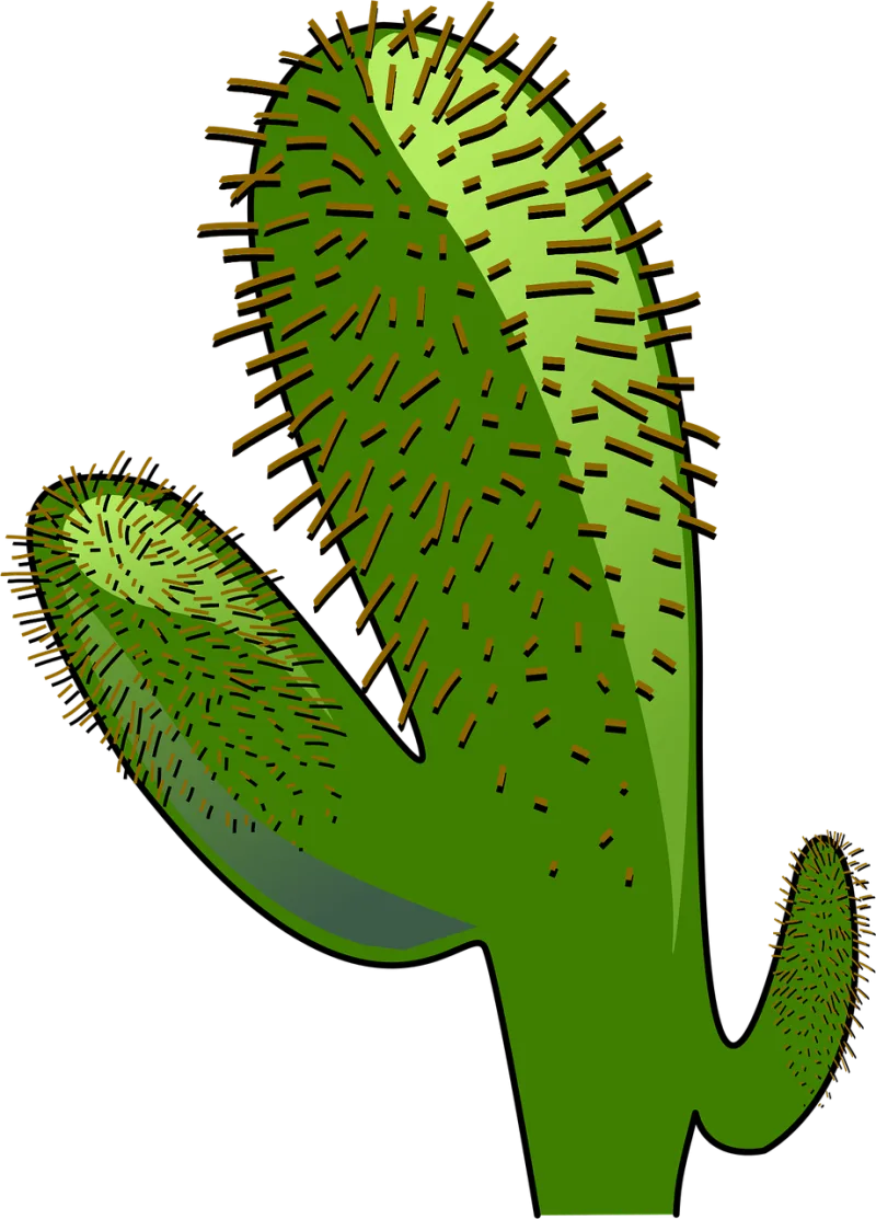 Cactus Landscape Dry Stickdatei – Natur