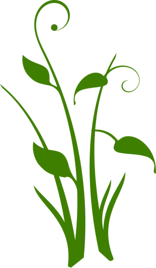 Green Nature Plant Stickdatei