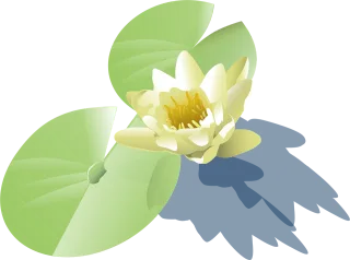 Lily Flower wallpaper Lotus Stickdatei