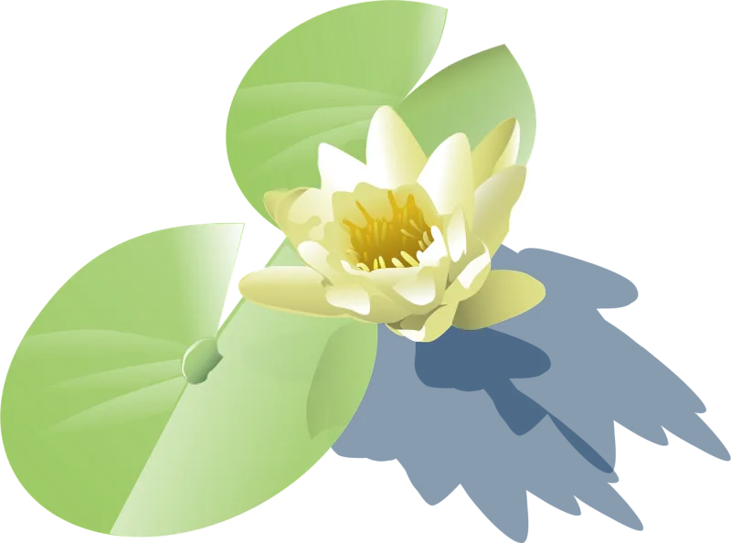 Lily Flower wallpaper Lotus Stickdatei – Blumen