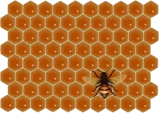 Bee Social Honeycomb Stickdatei