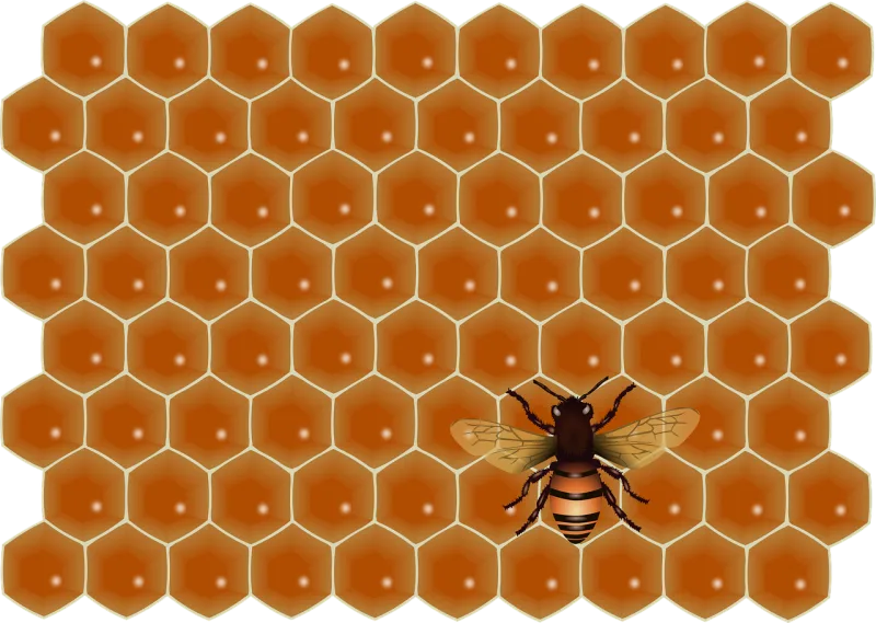 Bee Social Honeycomb Stickdatei – Tiere
