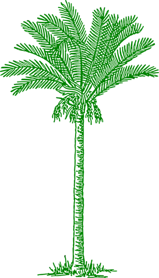 Palmtree Leaves Beach Stickdatei