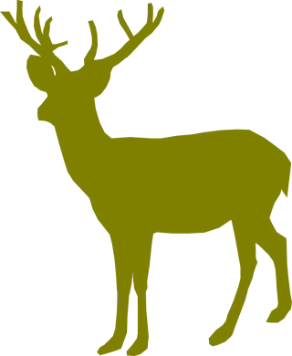 Deer Buck Male Stickdatei