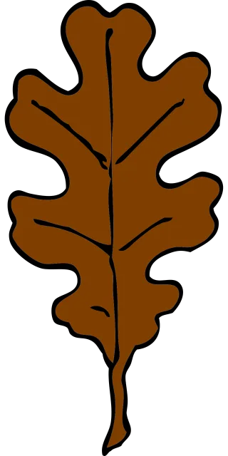 Leaf Oak brown Autumn Stickdatei – Natur
