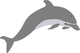 Dolphin Jump Grey Stickdatei