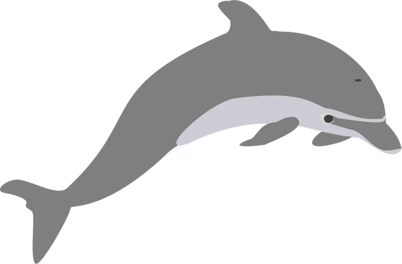 Dolphin Jump Grey Stickdatei – Tiere