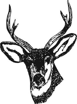 Deer Stag Venison Stickdatei