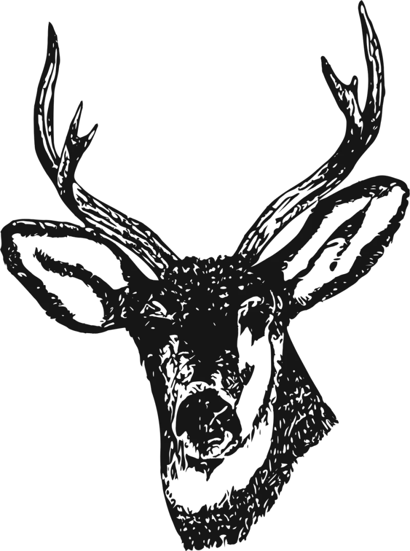 Deer Stag Venison Stickdatei – Tiere