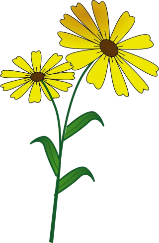 Flower Daisy Flower wallpaper Stickdatei