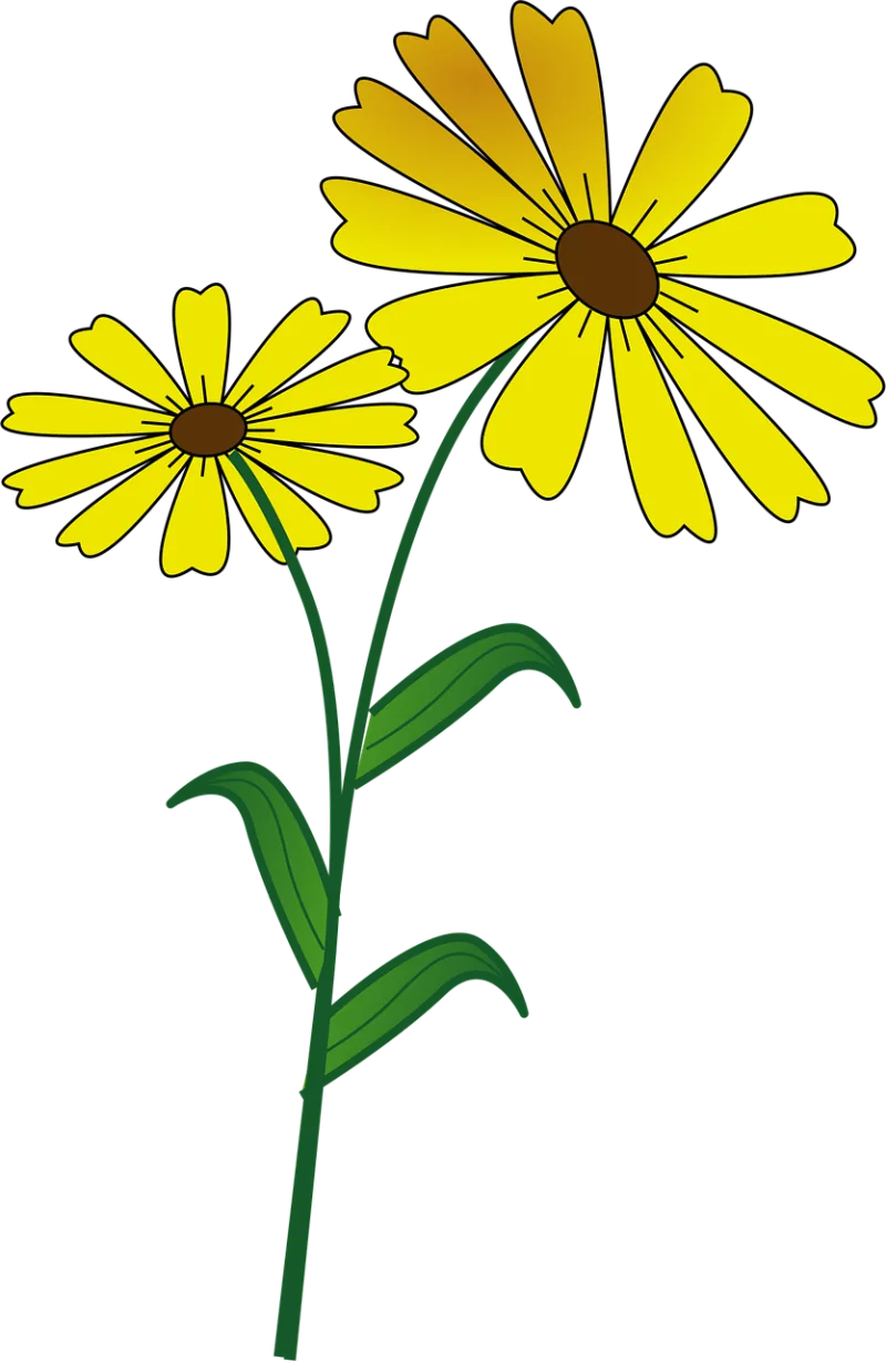 Flower Daisy Flower wallpaper Stickdatei – Blumen