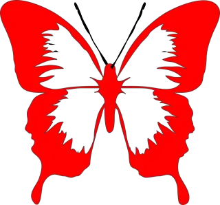 Butterfly Fly Moth Stickdatei