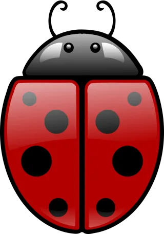 Ladybug Red Black Stickdatei