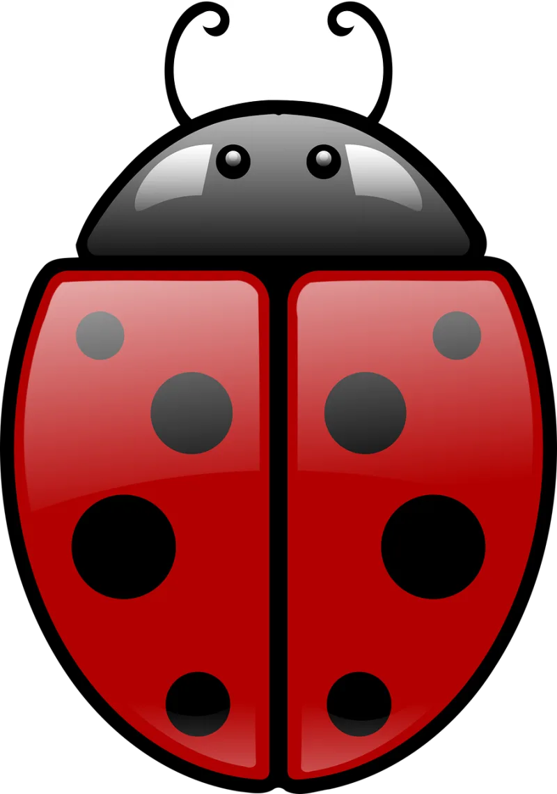 Ladybug Red Black Stickdatei – Tiere