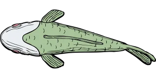 Fish Aquatic Nature Stickdatei
