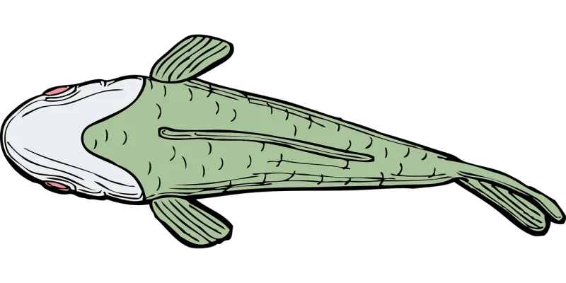 Fish Aquatic Nature Stickdatei – Sport