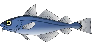Fish Animal Sea life Stickdatei