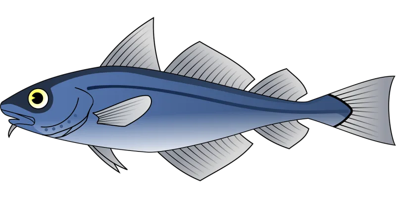 Fish Animal Sea life Stickdatei – Tiere
