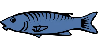 Fish Sea Lake Stickdatei