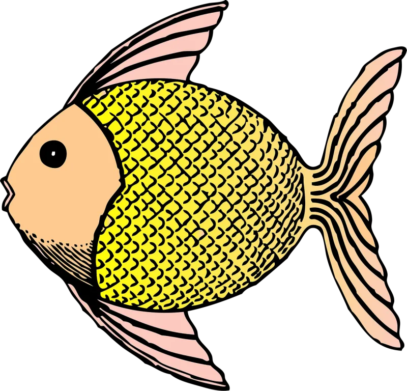 Fish Cute Scales Stickdatei – Sport