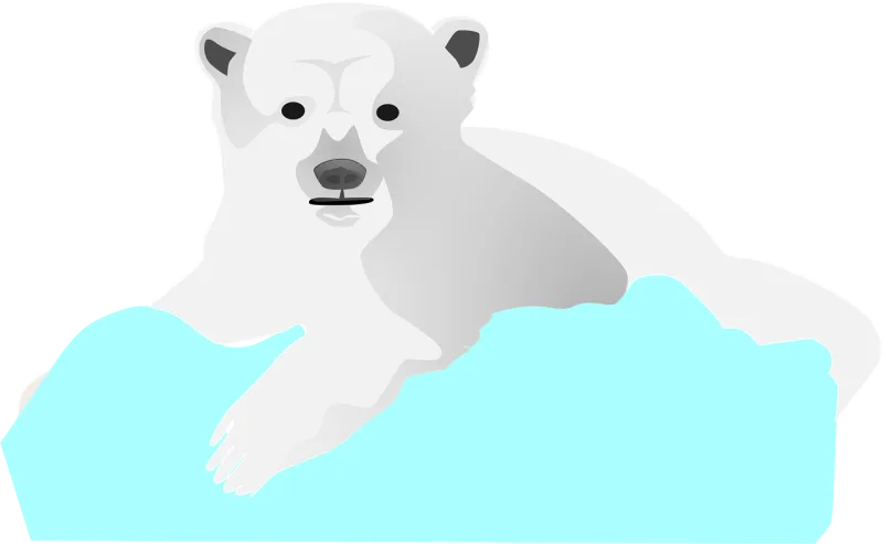 Ice Bear Polar Stickdatei – Tiere
