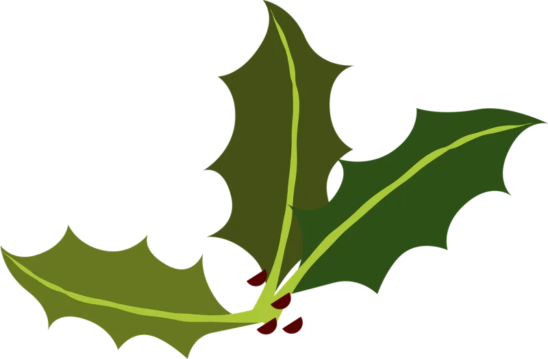 Bay leafs Green Holly Stickdatei – Weihnachten