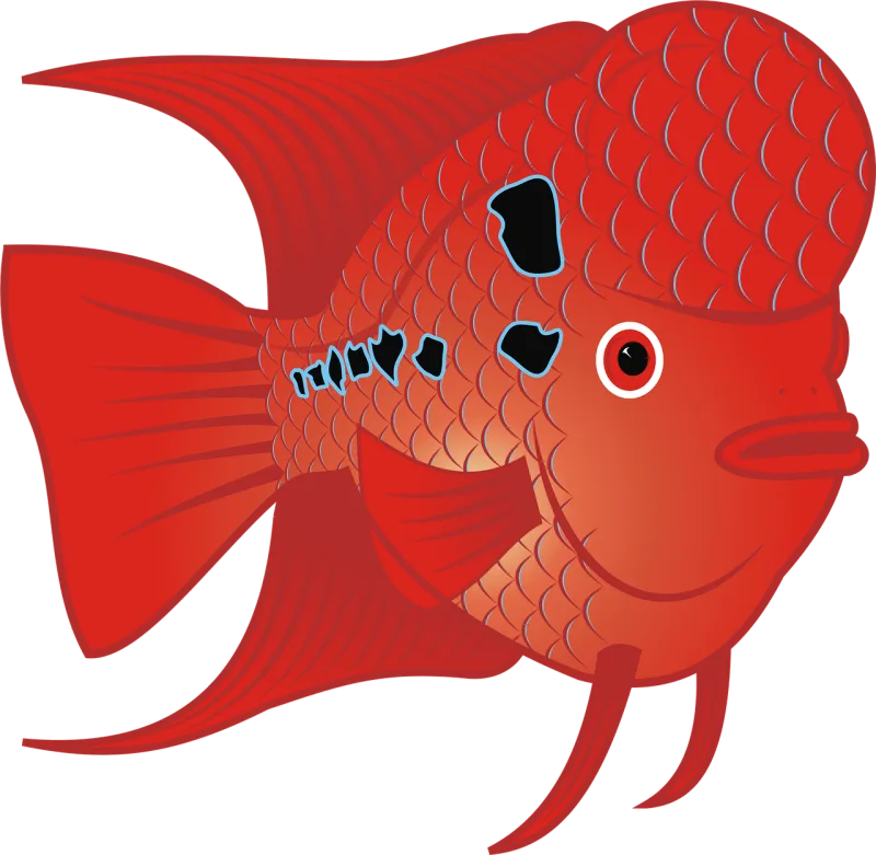 Goldfish Nature Fish Stickdatei – Tiere