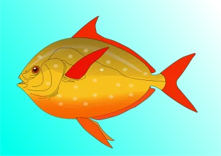 Fish Water Swim Stickdatei