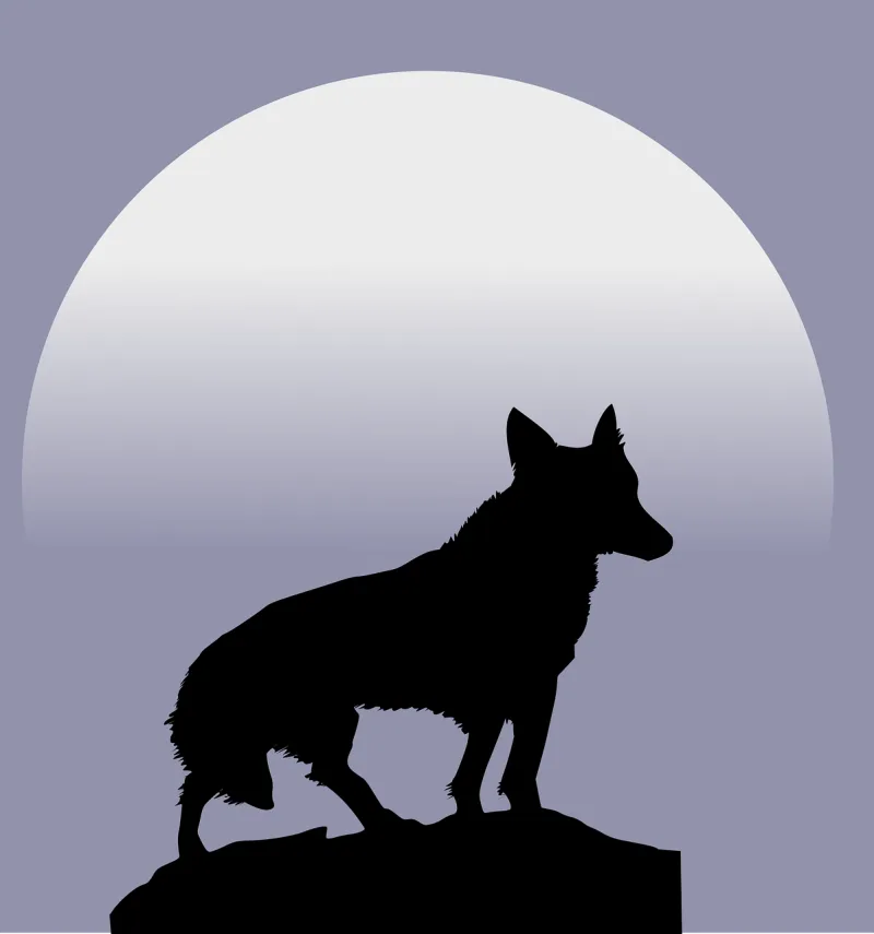 Wolf Moon Silhouette Stickdatei – Natur