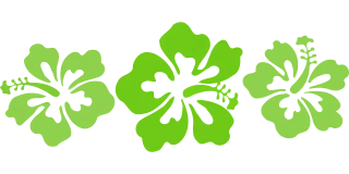 Hibiscus Green Hawaii Stickdatei