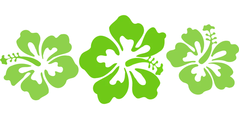 Hibiscus Green Hawaii Stickdatei – Blumen