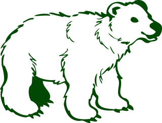 Polar Ice Bear Stickdatei