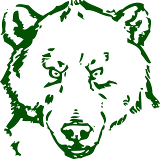 Bear Face Head Stickdatei
