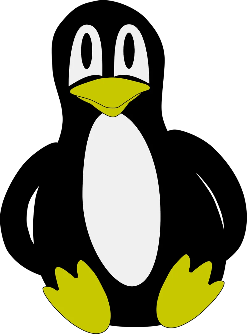 Penguin Flightless bird Antarctic bird Stickdatei – Tiere