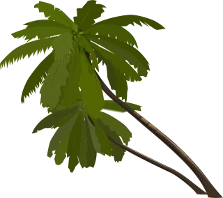 Palm trees Palm Trees Stickdatei