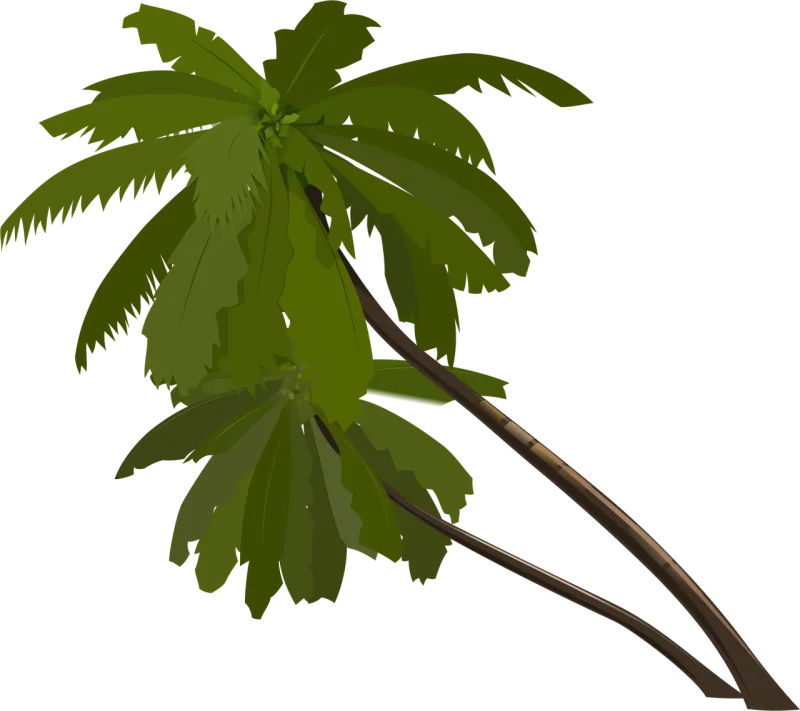 Palm trees Palm Trees Stickdatei – Natur