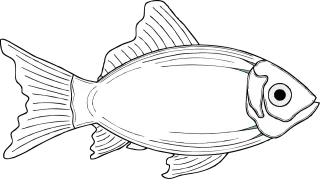 Fish Cod Nature Stickdatei