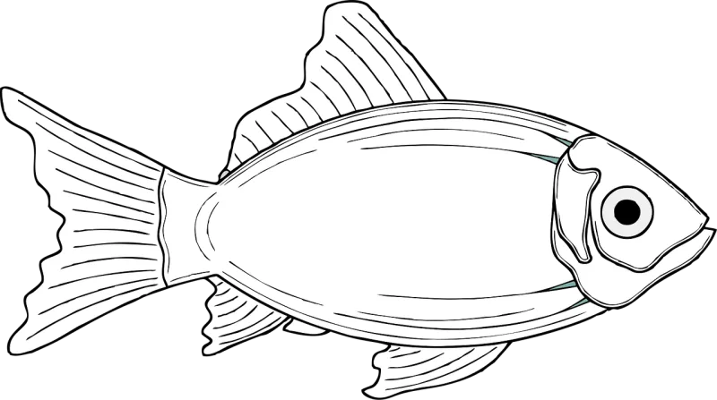 Fish Cod Nature Stickdatei – Sport