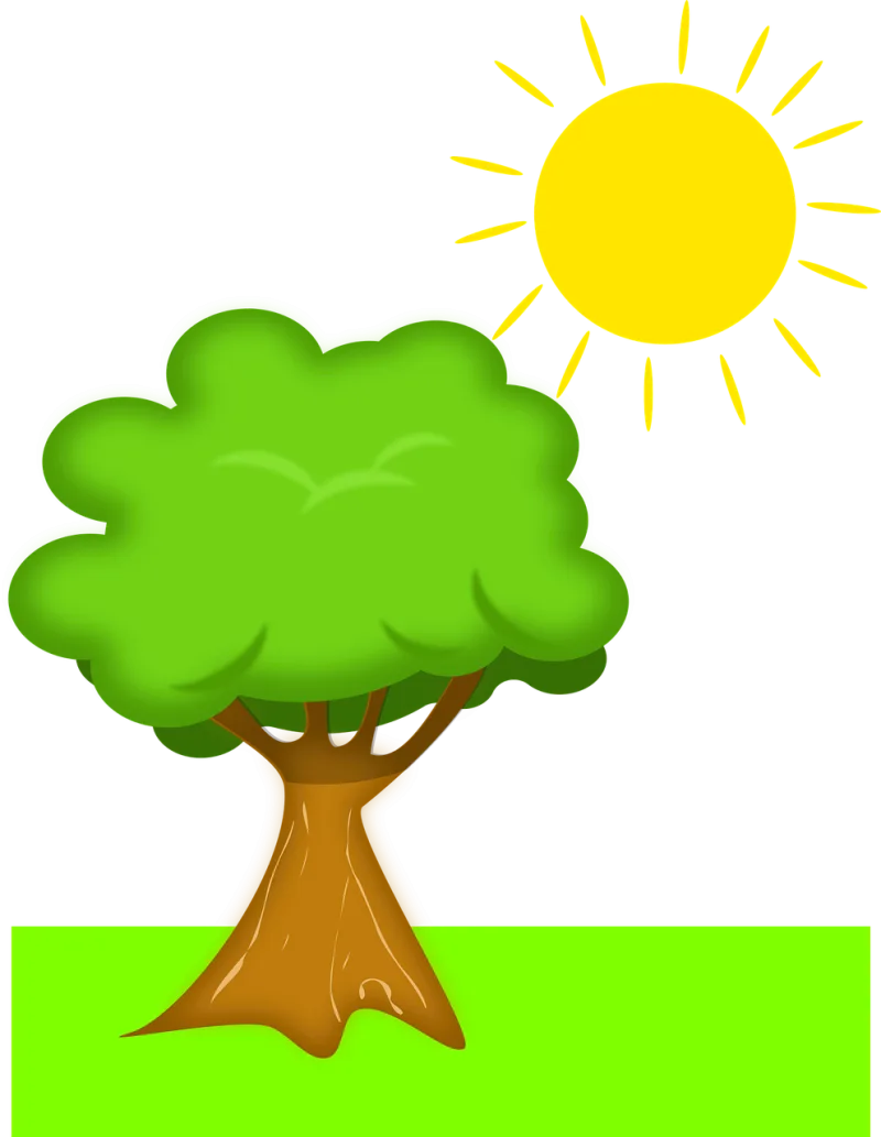 Tree Sun Scenery Stickdatei – Natur