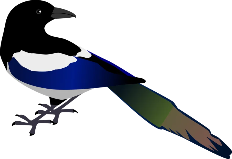 Magpie Bird Wildlife Stickdatei – Tiere