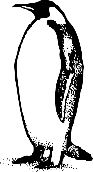 Emperor Penguin Bird Stickdatei