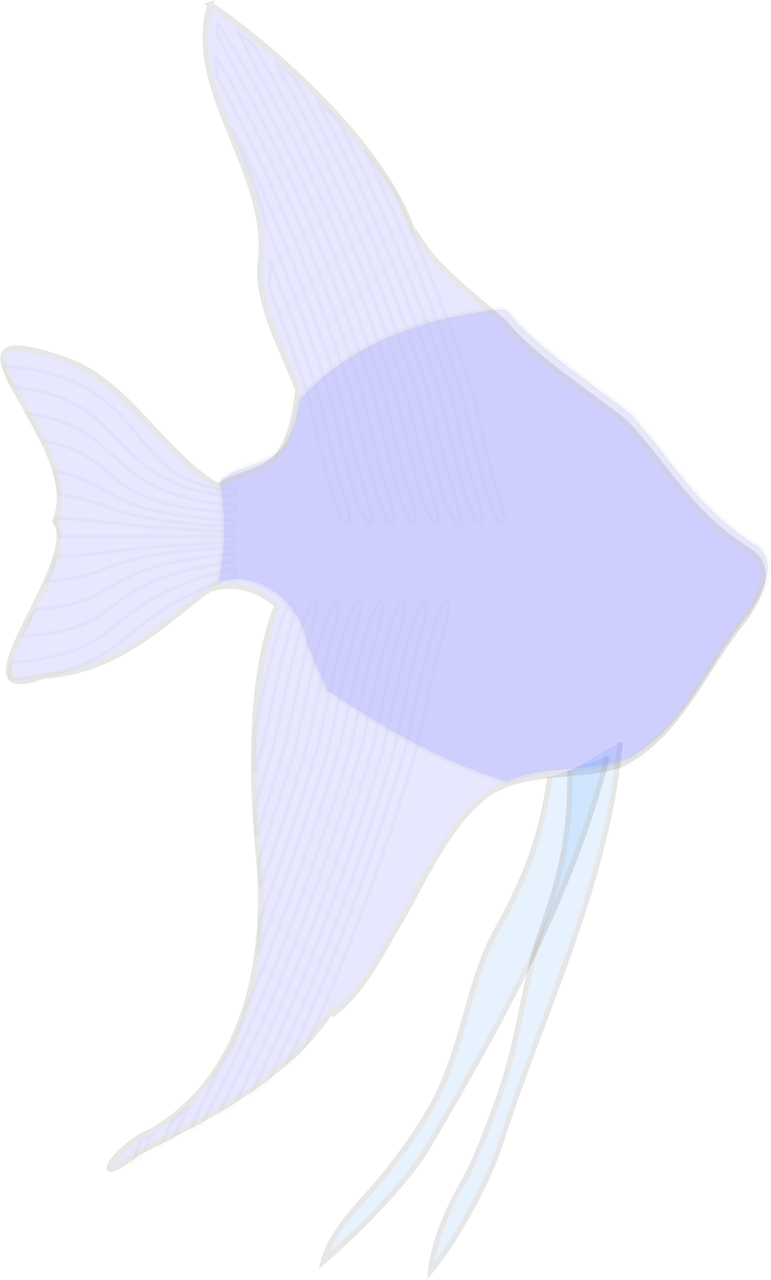 Angelfish Tropic Exotic Stickdatei – Sport