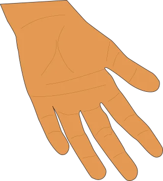 Hand Palm Fingers Stickdatei