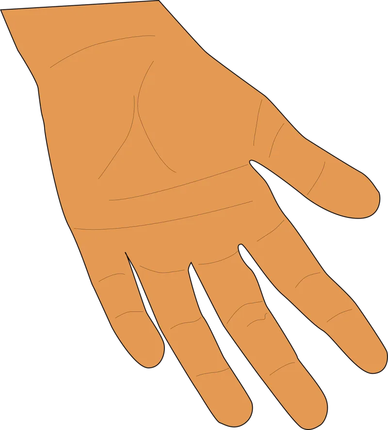 Hand Palm Fingers Stickdatei – Natur