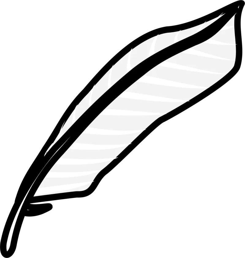 Feather White Bird Stickdatei – Natur
