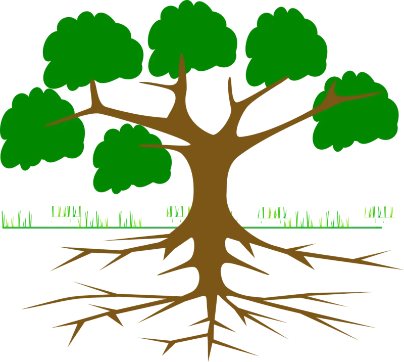Tree Branches Root Stickdatei – Natur