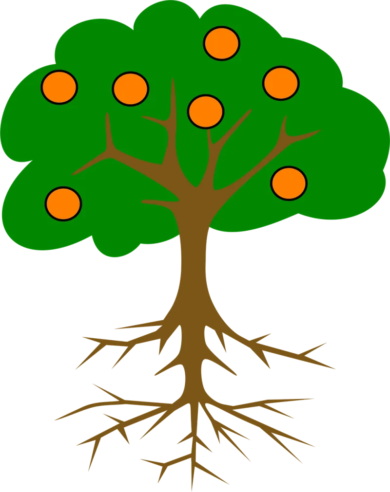 Tree Oranges Roots Stickdatei – Essen & Trinken